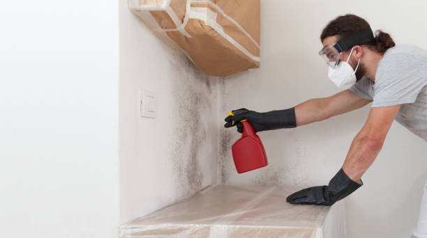 Professional Mold Cleanup technician working in Partlow, VA