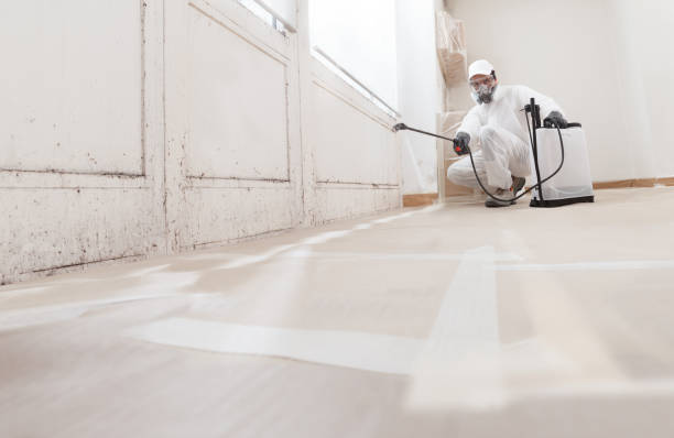 24/7 Emergency Mold Cleanup experts in Partlow, VA