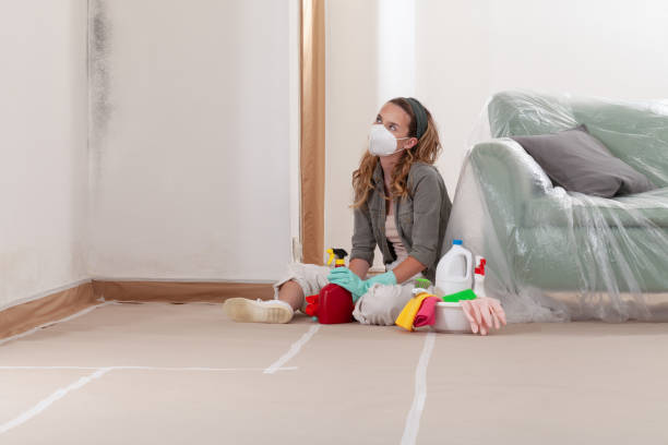 Reliable Mold Cleanup contractor in Partlow, VA by WQB Mold Removal